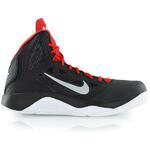 Баскетбольные кроссовки Nike Dual Fusion BB II - картинка